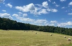 14953 County Road 615, Birch Tree, MO 65438
