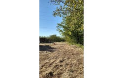 308 S Reynolds Avenue, Throckmorton, TX 76483