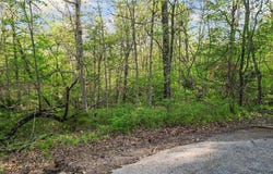 Lot 5 Findhorn  LN, Bella Vista, AR 72715