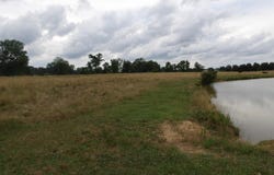 10.1 Mount Vernon Road, Boaz, AL 35957