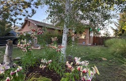 6515 Jamon Drive, Sparks, NV 89436