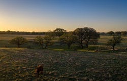 348 Blau Lane, Menard, TX 76848