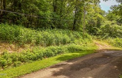 Lot 35 Salt Lane, Savannah, TN 38372