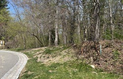 10 Bromley Court, Muttontown, NY 11791
