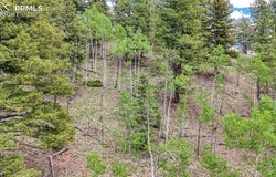 626 Little Topsey Drive, Cripple Creek, CO 80813