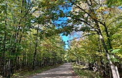 On ARBUTUS POINT LN, Pickerel, WI 54465