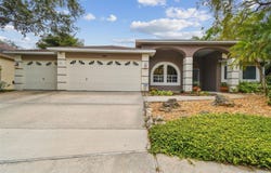 160 SAGE CIRCLE, CRYSTAL BEACH, FL 34681