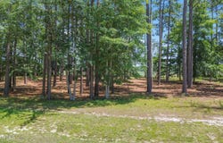 2176 Arnold Palmer Drive, Shallotte, NC 28470