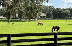 17037 SE 76TH CREEKSIDE CIRCLE, THE VILLAGES, FL 32162