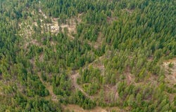 5418 S Elk Rd, Harrison, ID 83833