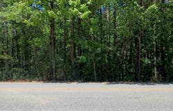 0 Sutton Bridge Road, Rainbow City, AL 35906