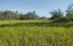 12546 Orcutt Highway, Millersburg, MI 49759