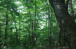 1656 Frost Valley Road, Claryville, NY 12725