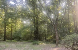161 Christian College Road, Senatobia, MS 38668