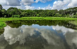 Tract 2 South Nassau Road, Round Top, TX 78954
