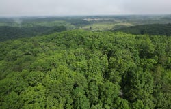 0 Laurel Branch Road, East Bernstadt, KY 40729