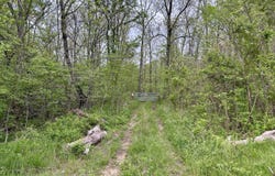 000 Highway D, Van Buren, MO 63965