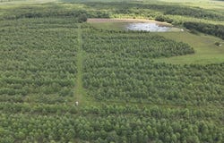 0 Highway 8, Philipp, MS 38950