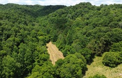 01 Gray Gap Road, Burkesville, KY 42717