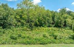 2916 Split Oak Drive, Knoxville, TN 37920