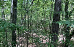 2.03 Ac Johnson Mill, Hamilton, GA 31811