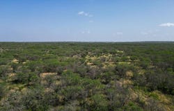 Fm 624, George West, TX 78022