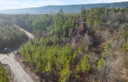 20  Red Bird Ridge, Smithville, OK 74957