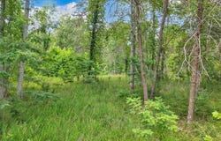 Crestview Rd lot: 85, Wirtz, VA 24184