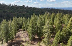 31xxx N South Jackson Rd, Elk, WA 99009