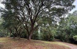 210 Private Road 6241, Jasper, TX 75951