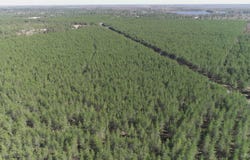 Parcel 5 Rice Lake, Gwinn, MI 49841