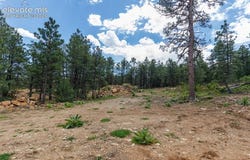 8719 Ponderosa Pine Drive, Beulah, CO 81023