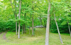 25943 Hunter Trail, Bruce Twp, MN 56347