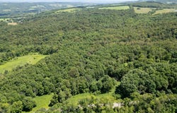 989 Robinson Rd, Warren, NY 13407