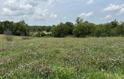 1099 Lloyd Road, Georgetown, KY 40324