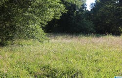 174 POPLAR SPRINGS DRIVE lot: 1,2,3, SYLVAN SPRINGS, AL 35118