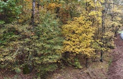 000 Lower River Road NW, Georgetown, TN 37336