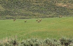 TBD County Road 29, Craig, CO 81625