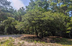 2366 Swan Island Road lot: 5, Corolla, NC 27927