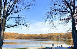 Schwyz Drive, Reed City, MI 49677