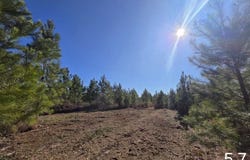 0 Chipola Rd, Slocomb, AL 36375