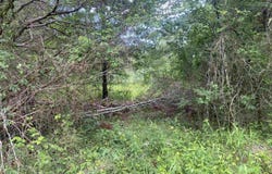 TBD2 Stevenson Road, Pencil Bluff, AR 71965