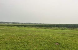 2957 IA 13, Ryan, IA 52330-0000