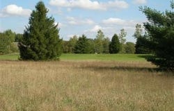 7618 Red Fox Road, Canadian Lakes, MI 49346