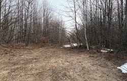 ON CTH B, Winter, WI 54896