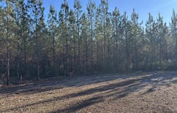 Straw Bridge Rd lot: 56, Jay, FL 32565
