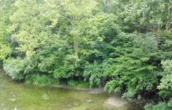 445 Elk Lake Resort Road, Owenton, KY 40359