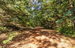 4549 FM 2864, Nacogdoches, TX 75964