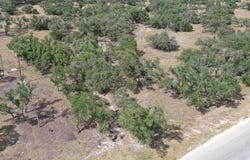 97 Nott Branch Rd, Harper, TX 78631