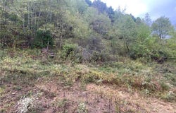 Taylor Road, Dennison, OH 44621